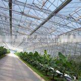 Good Daylighting Glasshouse Big Shed,greenhouse for Agriculture,frp Hothouses From Suppliers thumbnail-5