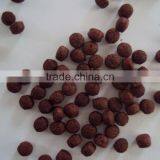 Pet Food Extruder thumbnail-6