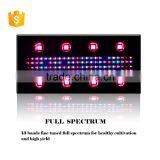 China Full Spectrum Wholesale Led Grow Lights thumbnail-1