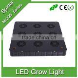Hot Sales in USA Europe Led Garden Light CE ROHS UL Certificate Spider 810W Led Grow Light