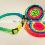 Pet Leash and Collar thumbnail-1