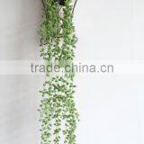 Wall Hanging Vines thumbnail-3
