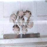 Best Season Octopus Frozen thumbnail-1