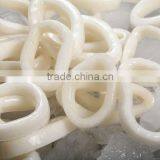 Squid Frozen thumbnail-1