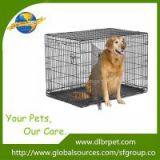 Economic Dog Cages(E-coating) With Plastic Tray,Factory Supply. thumbnail-1