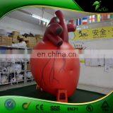 Large Inflatable Heart Organ Replica Balloon Artificial Custom Organ Model Inflatables PVC Advertising Toys Ball thumbnail-3