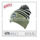 Custom Wholesale Design Fashion Winter Knitted Hat With Pom Pom thumbnail-1
