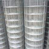 Coated Welded Wire Fence Low-carbon Iron