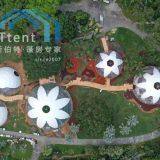 Geodesic Dome Tent for Outside Hotel;transparent Global Tent for Wedding;;transparent Global Tent for Flower Show thumbnail-2