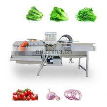 Made in china vegetable washing machine for industry