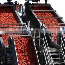 CHINA Factory Tomato Paste Making Machine Tomato Paste Processing Equipments thumbnail-3