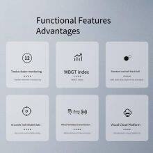 Heat Index Meter Wbgt Black Globe and Wet Bulb Temperature Sensor Integrated Indoor Comfort Meter Thermometer, Huiyang Zhilian thumbnail-4
