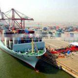 DDU/DDP Sea Freight From China to Malaysia/Philippines/Indonesia/Singapore thumbnail-2