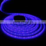 3528 5m 500cm Blue 600 LED SMD Flexible Light Strip Lamp Waterproof DC 12V