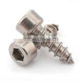 Stainless Steel Hex Socket Head Cap Tapping Screw