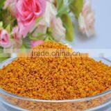 2016 Provide Wild Organic Camellia Flowers Bee Pollen