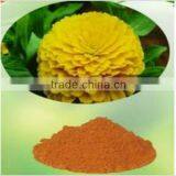 100% Natural Evening Primrose Oil Bulk