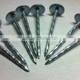 Umbrella Head Galvanized Roofing Screw Nail thumbnail-3