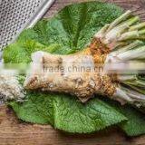 2016 Sushi seasoning horseradish with guaranteed quality