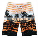 Daijun OEM New Design Cheap Polyester Stripe Palm Beach Shorts Hot Sale Blank Board Shorts thumbnail-2
