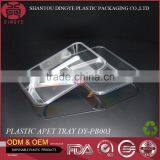 Disposable Products Plastic PET Blister Food Packaging Trays DY-PB003 Transparent