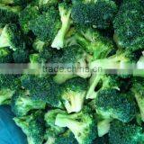Health Food Halal Food Quick Frozen Broccoli thumbnail-4