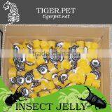 New Products Assorted Pudding Cup Jelly thumbnail-3