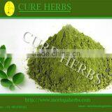 Herbal remedies powder for moringa