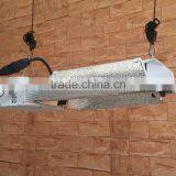 CE/ETL Double End Light/Flat Style/indoor Garden Equiment thumbnail-3