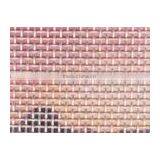 Stainless Steel Wire Screen