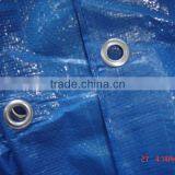 pe Tarpaulin Sheet Waterproof Canvas Sheet