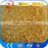 Full Automatic Artificial Rice Manufacture Plant thumbnail-2