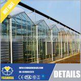 Venlo Type Glass Greenhouse for Vegetable and Flowers Growing thumbnail-2