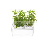 2014 Newest Office Decoration Mini Smart Garden thumbnail-4