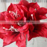 SJ13001116 Artificial Clivia Flower/silk Kaffir Lily Flores thumbnail-5