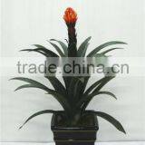 Artificial Bonsai Flower Tree for Home/garden Decor Sale [ABF-07]( Plant of ESTE ) thumbnail-1