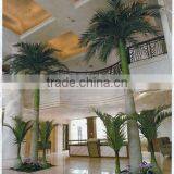 Wind Resistance UV Proof Artificial Royal Palm Tree in High Quality thumbnail-2