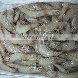 Vannamei Shrimps thumbnail-3