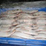 Frozen Hilsa Fish thumbnail-2