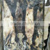 Frozen Peru Squid Wholesale thumbnail-4