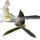 Amazon Popular Fruit Tree Flower Pruner Shear thumbnail-4