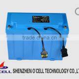 12V 170AH LiFePO4 Battery Pack