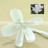 Season Flower Sola Flower Aroma Diffuser With Reed or Cotton Rope thumbnail-1