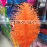 Wholesale Fashion Multicolor Decotation Ostrich Feather for Party and Wedding thumbnail-5