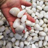 White Pebbles