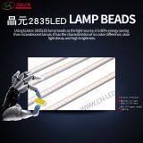 Led Linear Light_indoor Linear Light_shopping Mall Line Light_shopping Mall Lighting_shopping Mall Lighting thumbnail-4