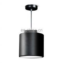 Modern High Bright Epistar Wire Hanging Surface Mount Ceiling Aluminum LED Down Light thumbnail-2