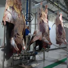 Peeling Machine Slaughterhouse Plant 500 Sheep Per Day Sheep Skinning Machine For Goat Meat Processing Abattoir Equipment
