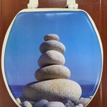 Vynle Standard PVC Soft Toilet Seat Printed 17