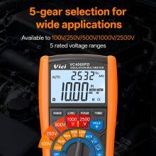 Vici VC4060PD 100V 250V 500V 100V 2500V 50GΩ Insulation Multimeter thumbnail-2